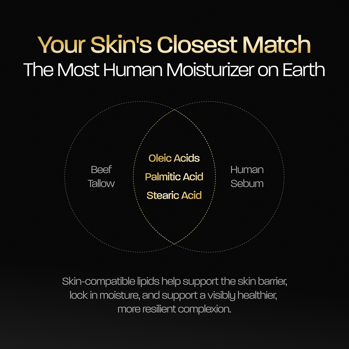 Tallow Moisturizer