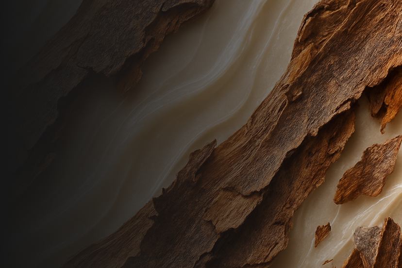 Willow Bark Extract